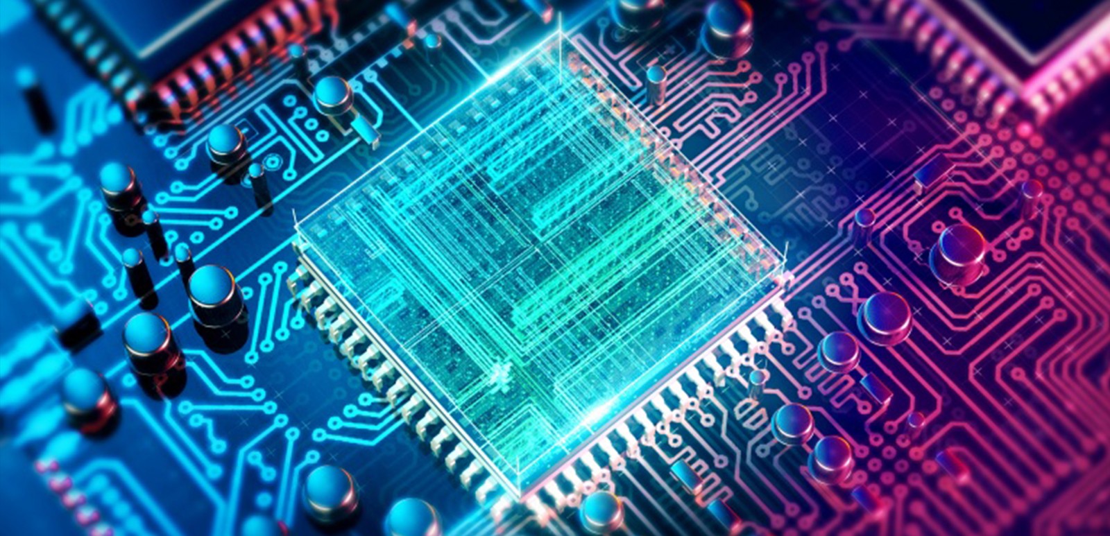 Is the Computer Science Degree Dead?