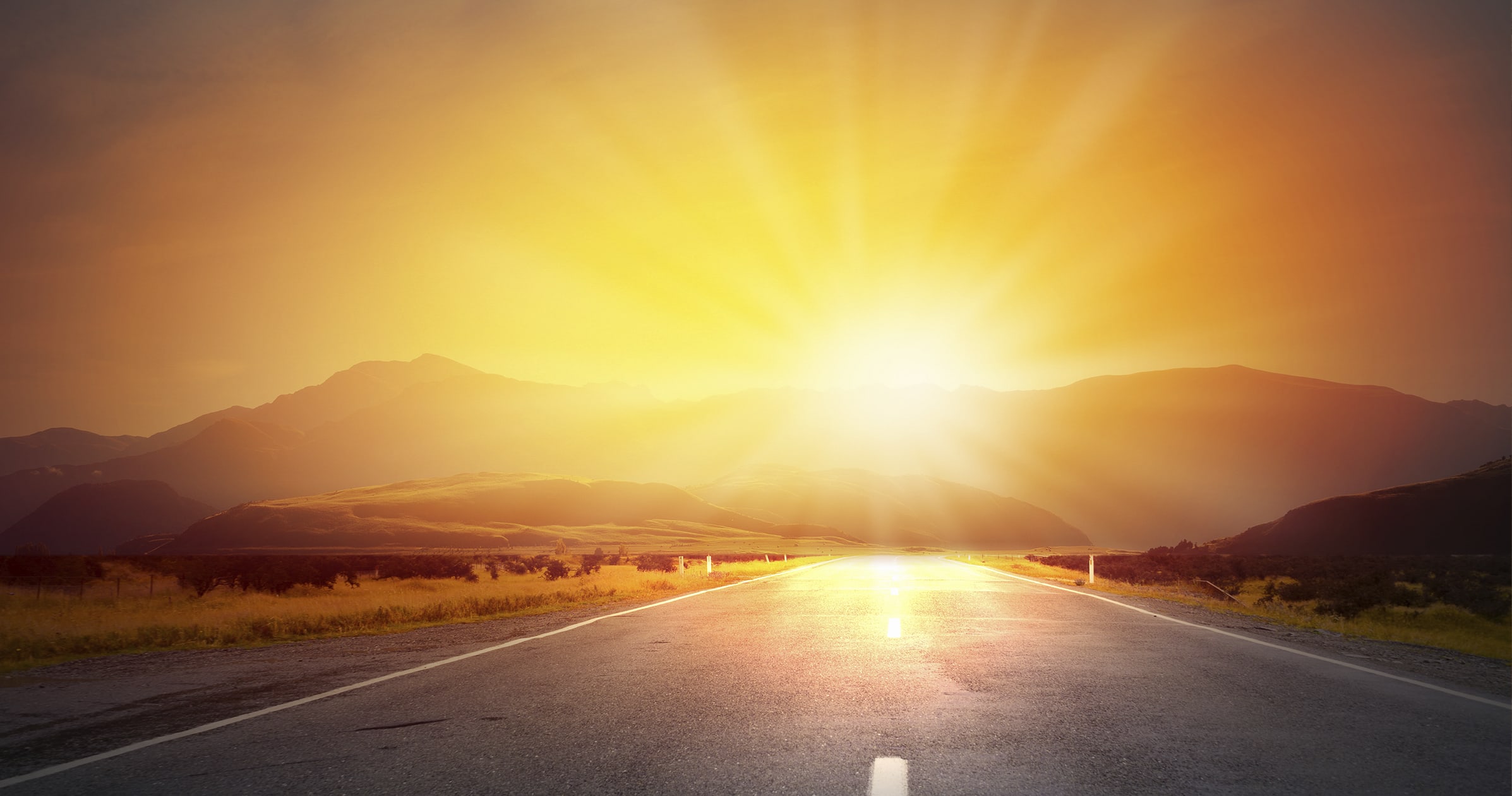 Tame business volatility in 2022 with a renewed focus on results