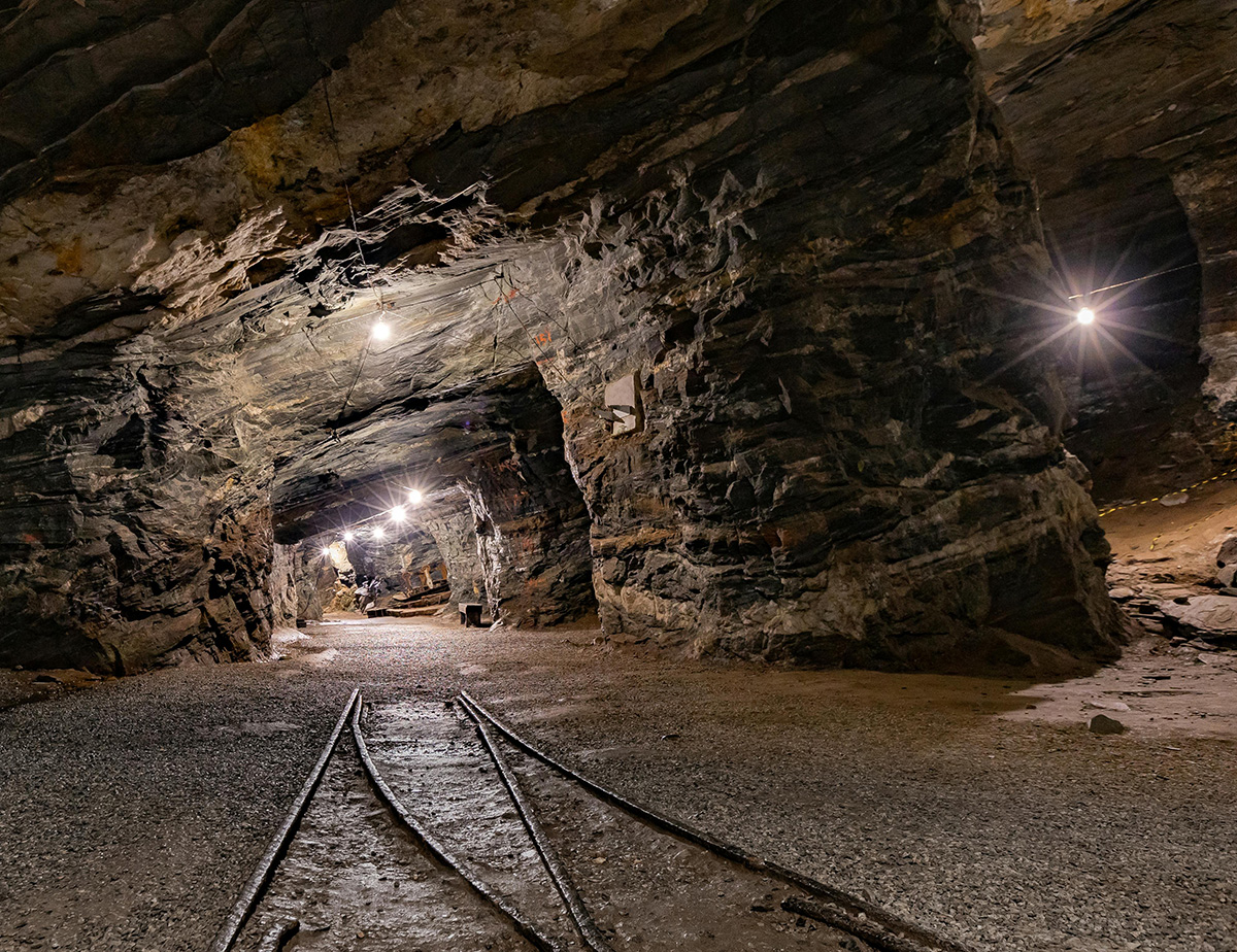 The Hollywood canary in the AI coal mine: A forewarning for other industries
